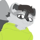 Meh_Raccoon - Creative Team